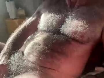bigbush1 cam preview