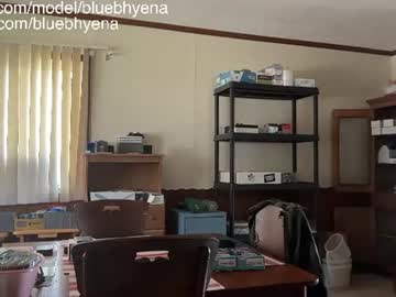 bluebhyena cam preview