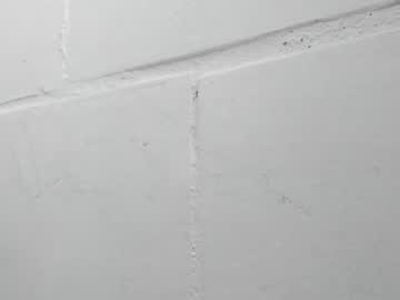 emily__sweett__ cam preview