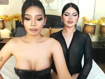 haisleypalmer cam preview