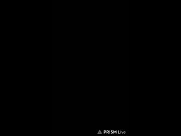 obsidian_stallion cam preview