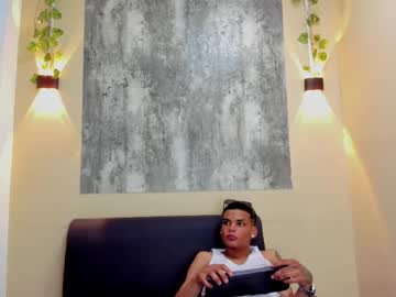 steiner_goldberg cam preview