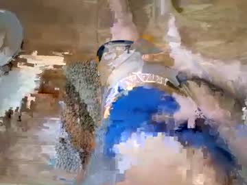 zedsdead12345 live webcam preview